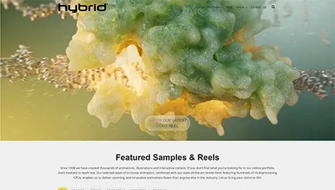 Hybrid Medical homepage thumbnail