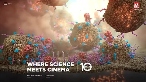 Madmicrobe Studios homepage thumbnail